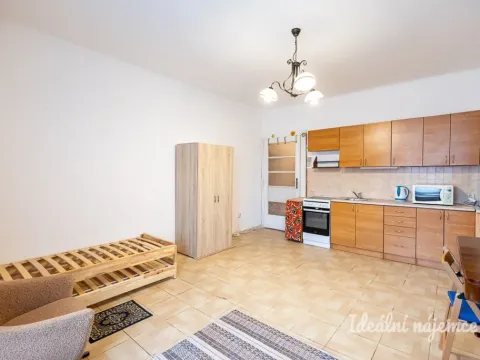 Pronájem bytu 1+kk, Praha - Žižkov, Jana Želivského, 30 m2