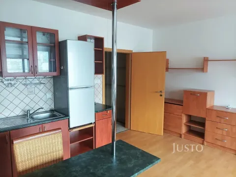 Pronájem bytu 1+kk, Písek, V Portyči, 38 m2