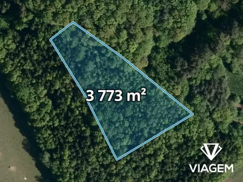 Prodej podílu lesa, Vizovice, 1886 m2