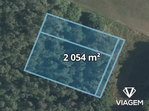 Prodej lesa, Sudovo Hlavno, 2054 m2