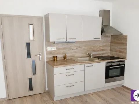 Prodej bytu 1+kk, České Budějovice, V. Volfa, 31 m2