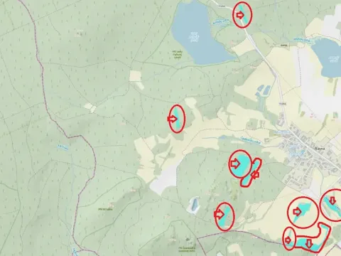 Prodej podílu lesa, Řásná, 3197 m2