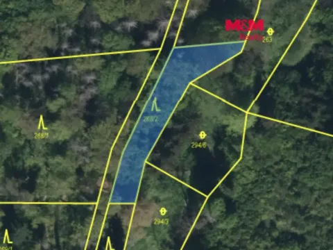 Prodej lesa, Řepníky, 562 m2