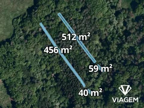 Prodej lesa, Kelníky, 4861 m2