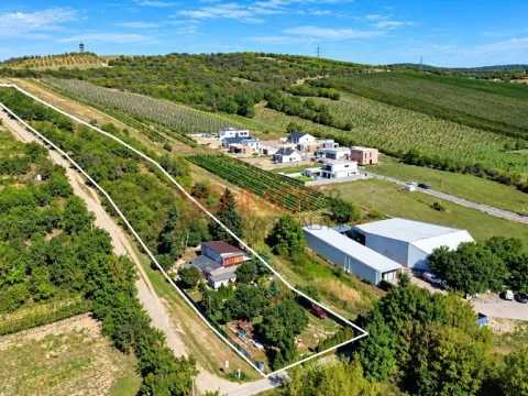 Prodej pozemku pro bydlení, Hustopeče, Havlíčkova, 7968 m2