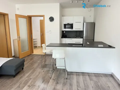 Pronájem bytu 2+kk, Ostrava - Moravská Ostrava, Blahoslavova, 50 m2