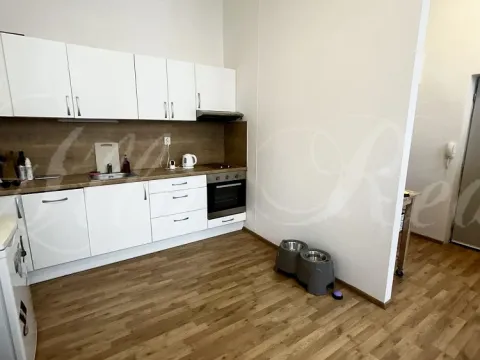 Pronájem bytu 2+kk, Brno - Zábrdovice, Vlhká, 60 m2