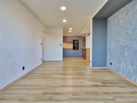 Pronájem bytu 2+kk, Ostrava - Mariánské Hory, Gen. Janka, 60 m2