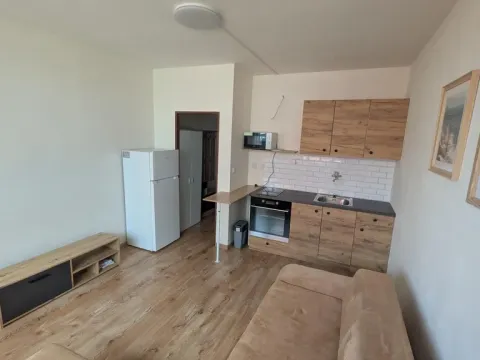 Pronájem bytu 1+kk, Most, U Věžových domů, 22 m2