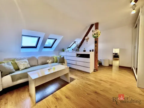 Pronájem bytu 1+1, Opava - Kateřinky, Dobrovského, 40 m2