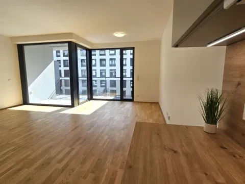 Pronájem bytu 1+kk, Praha, Hartigova, 53 m2