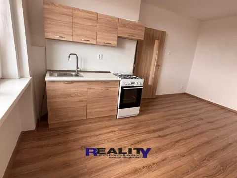 Pronájem bytu 1+1, Žatec, Dukelská, 44 m2
