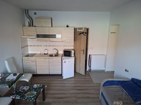 Pronájem bytu 1+kk, Nové Strašecí, Palackého, 25 m2