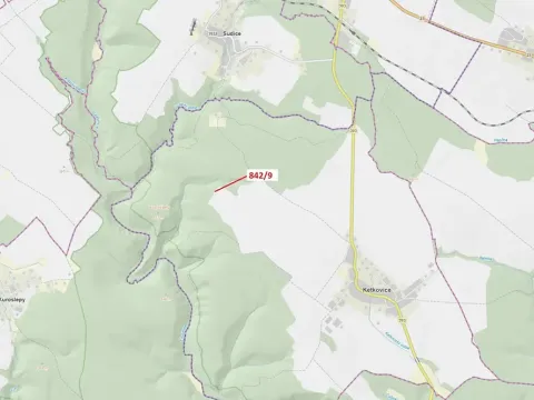 Dražba lesa, Ketkovice, 67 m2