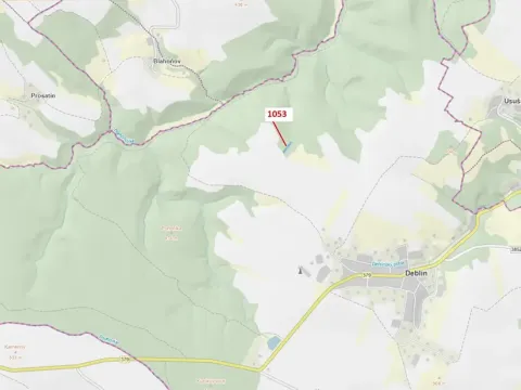 Dražba lesa, Deblín, 1757 m2