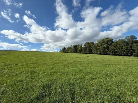 Prodej pole, Prackovice nad Labem, 44747 m2