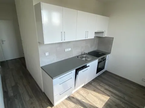 Pronájem bytu 2+1, Ostrava - Hrabůvka, Dvouletky, 53 m2