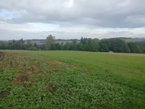 Prodej louky, Nekoř, 15200 m2