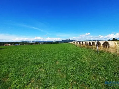 Prodej louky, Police nad Metují, 17068 m2