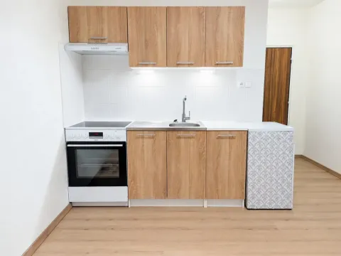 Pronájem bytu 1+kk, Chodov, Čapkova, 21 m2