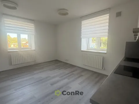 Pronájem bytu 1+kk, Mnichovo Hradiště, Havlíčkova, 31 m2