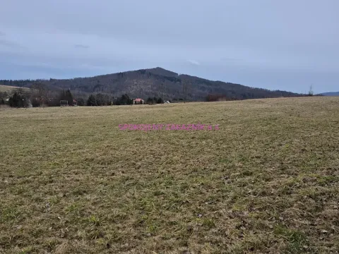 Prodej pozemku pro bydlení, Velká Bukovina, 950 m2