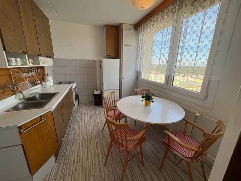 Pronájem bytu 4+1, Plzeň, Manětínská, 75 m2