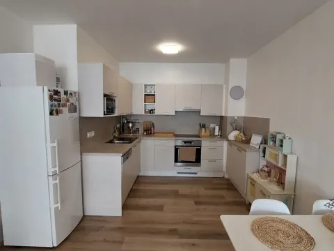 Pronájem bytu 2+kk, Olomouc, Aloise Rašína, 68 m2