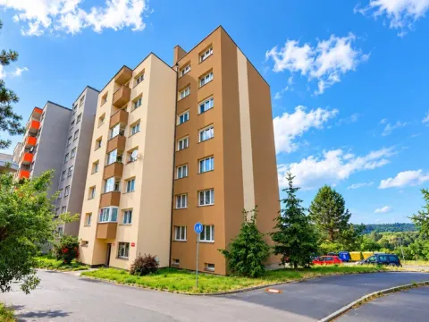 Prodej bytu 1+kk, Plzeň, Křimická, 19 m2