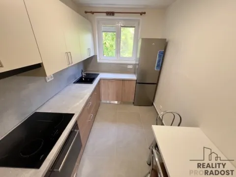 Pronájem bytu 3+1, Hodonín, Seifertova, 66 m2