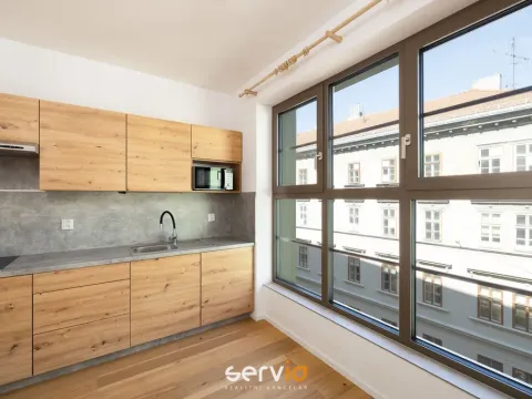 Pronájem bytu 1+kk, Brno, Bratislavská, 23 m2
