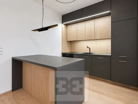 Pronájem bytu 2+kk, Praha - Libeň, Davídkova, 65 m2