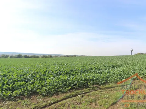 Prodej pozemku pro bydlení, Chotětov, 2109 m2