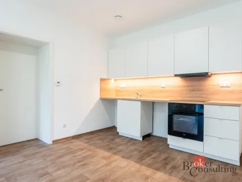 Prodej bytu 2+kk, Ostrava - Slezská Ostrava, Kovařovicova, 44 m2