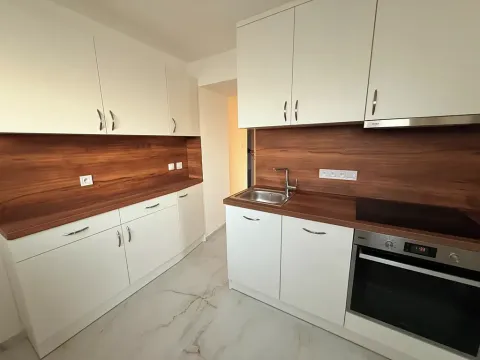 Pronájem bytu 2+1, Opatovice, 55 m2