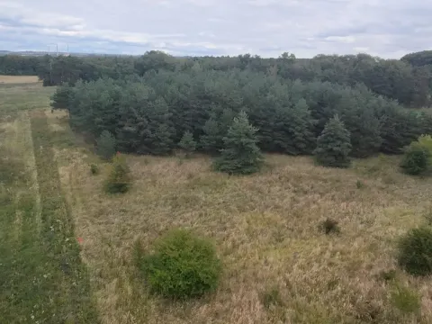 Prodej pozemku, Bechlín - Předonín, 15382 m2