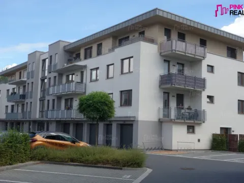 Pronájem bytu 2+kk, Hradec Králové - Nový Hradec Králové, Antonína Petrofa, 41 m2