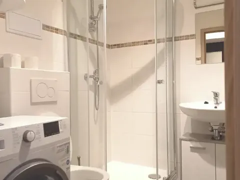 Pronájem bytu 1+kk, Brno, Vlhká, 23 m2