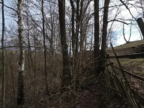 Prodej lesa, Rokytnice v Orlických horách, 3079 m2