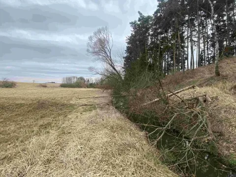 Dražba louky, Peč, 670 m2