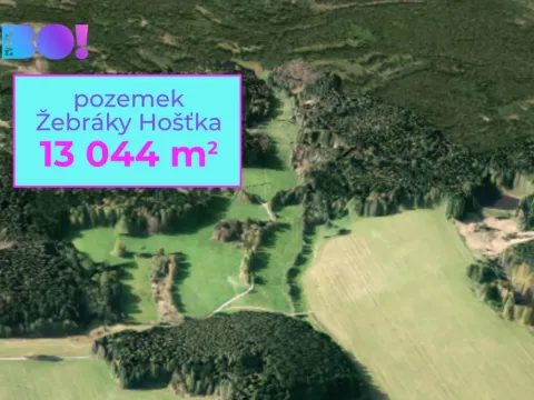 Prodej pole, Hošťka - Žebráky, 13044 m2
