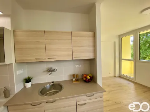Pronájem bytu 1+kk, Mladá Boleslav, Jičínská, 37 m2