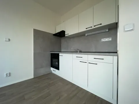 Pronájem bytu 1+1, Ústí nad Labem, Pod Parkem, 35 m2