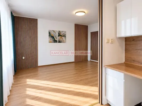 Pronájem bytu 1+kk, Praha - Nusle, Boleslavova, 35 m2