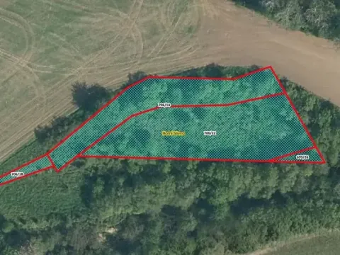 Prodej louky, Horní Slivno, 1353 m2