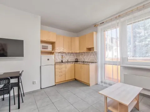 Pronájem bytu 1+kk, Trojanovice, 32 m2