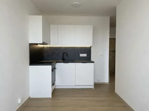 Pronájem bytu 1+1, Praha - Kamýk, U Kamýku, 31 m2