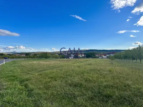 Prodej pozemku pro bydlení, Hroznová Lhota, 3079 m2