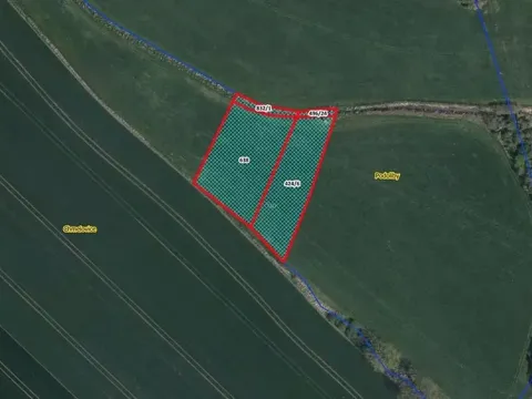 Prodej louky, Králíky, 3812 m2