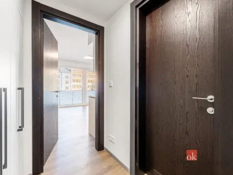 Pronájem bytu 2+kk, Olomouc - Nová Ulice, Třída Jiřího Pelikána, 44 m2